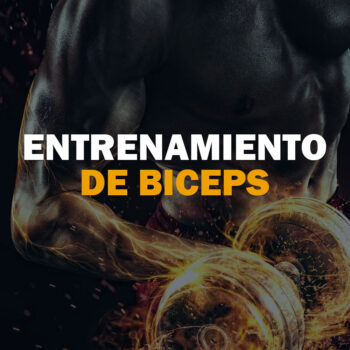 Entrenamiento de Biceps v1