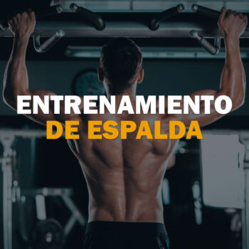 Entrenamiento de Espalda v1