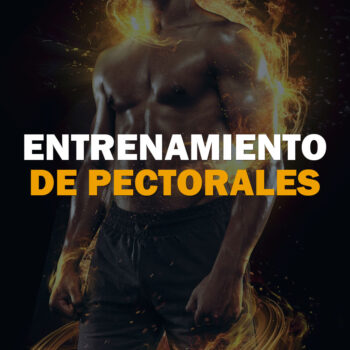 Entrenamiento de Pectoral v1