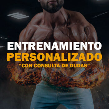 Entrenamiento personalizado
