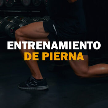 Entrenamiento de Pierna v1