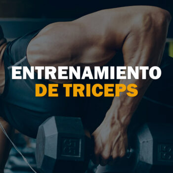 Entrenamiento de Triceps v1
